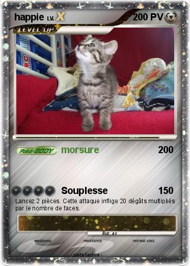 Pokemon happie