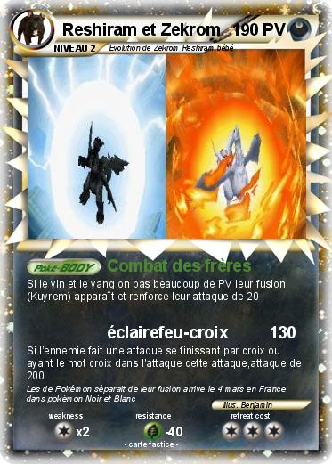 Pokemon Reshiram et Zekrom