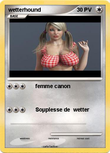 Pokemon wetterhound
