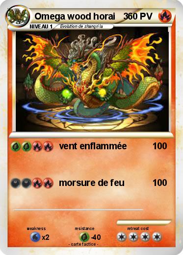 Pokemon Omega wood horai   3