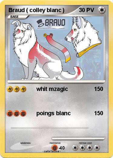 Pokemon Braud ( colley blanc )