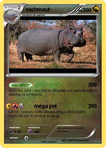 Pokemon sachmout
