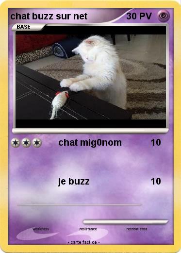Pokemon chat buzz sur net