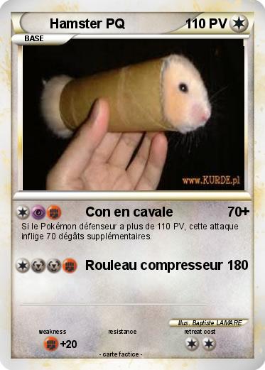 Pokemon Hamster PQ
