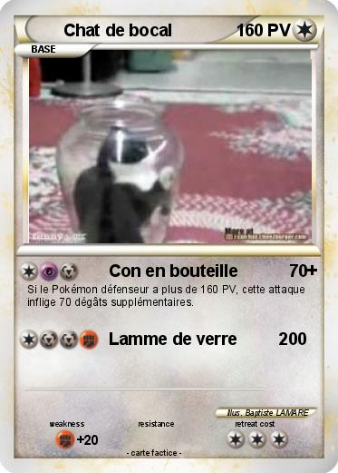 Pokemon Chat de bocal