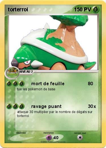 Pokemon torterroi