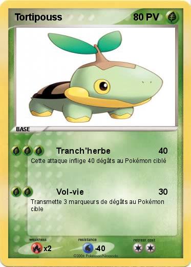 Pokemon Tortipouss