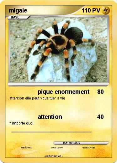 Pokemon migale