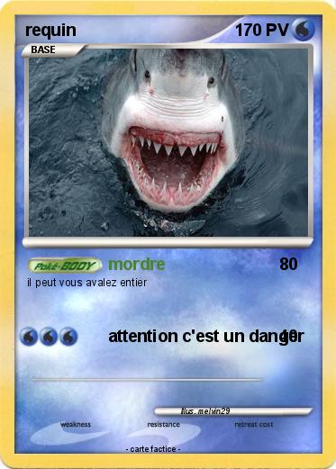 Pokemon requin