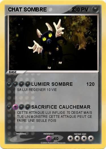 Pokemon CHAT SOMBRE                 2