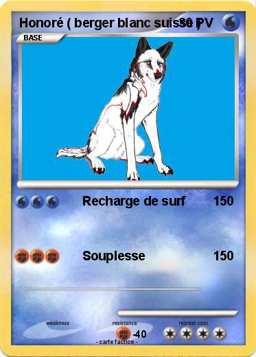 Pokemon Honoré ( berger blanc suisse )