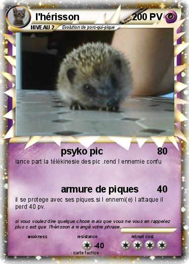 Pokemon l'hérisson