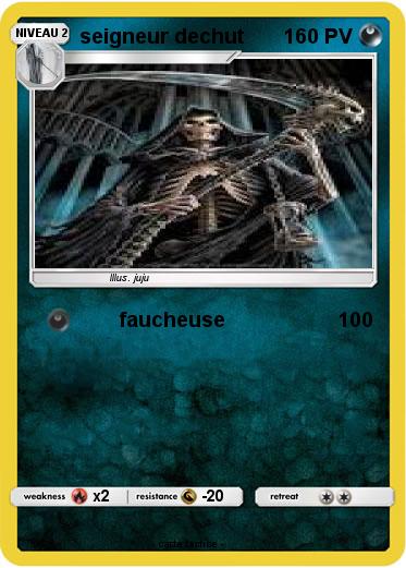 Pokemon seigneur dechut