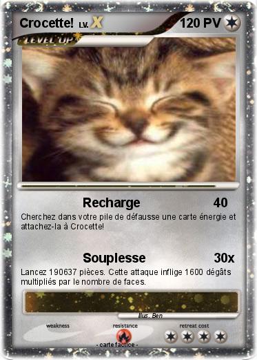 Pokemon Crocette!
