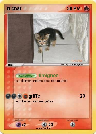 Pokemon ti chat