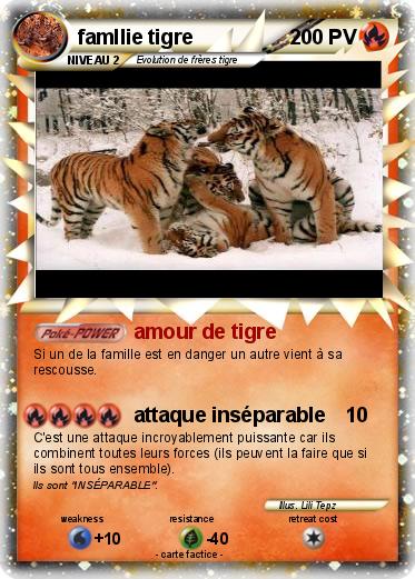 Pokemon famllie tigre