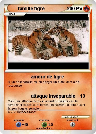 Pokemon famille tigre