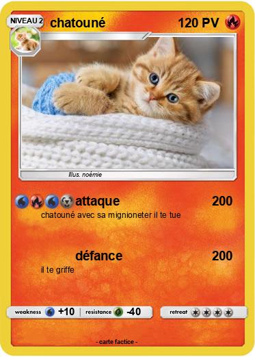 Pokemon chatouné