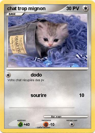 Pokemon chat trop mignon