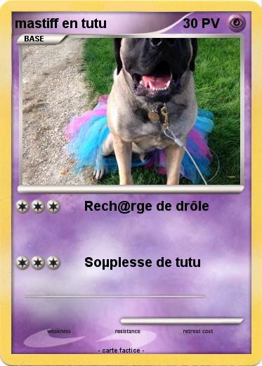 Pokemon mastiff en tutu