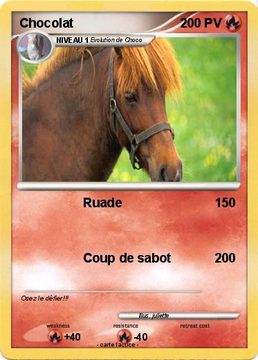 Pokemon Chocolat