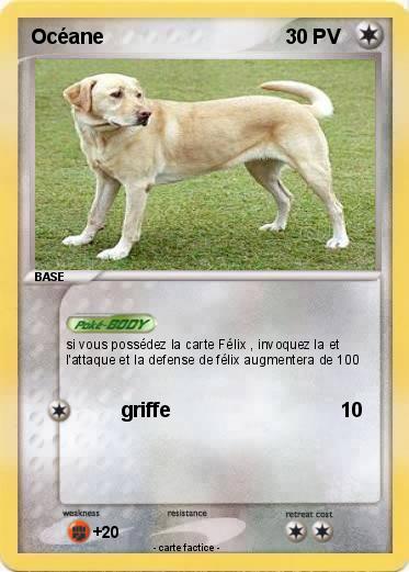 Pokemon Océane