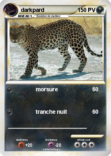 Pokemon darkpard