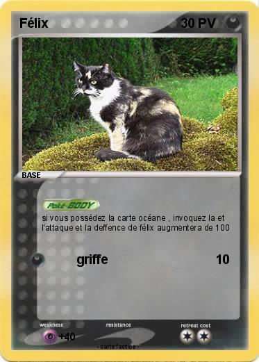 Pokemon Félix