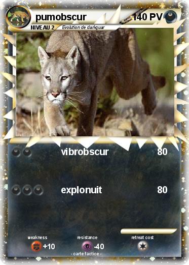 Pokemon pumobscur