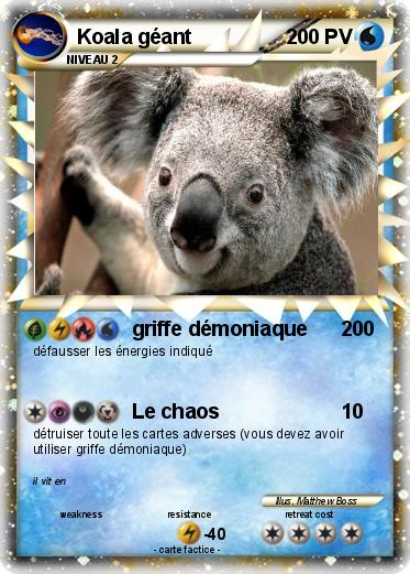 Pokemon Koala géant