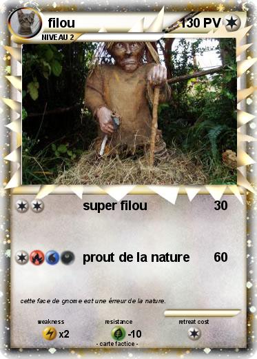 Pokemon filou