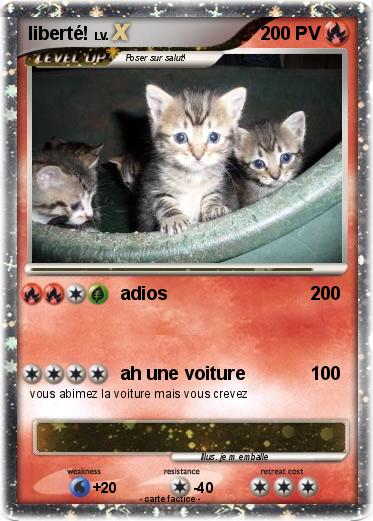 Pokemon liberté!