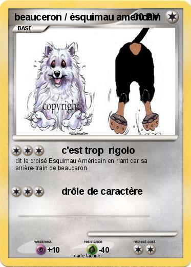 Pokemon beauceron / ésquimau americain