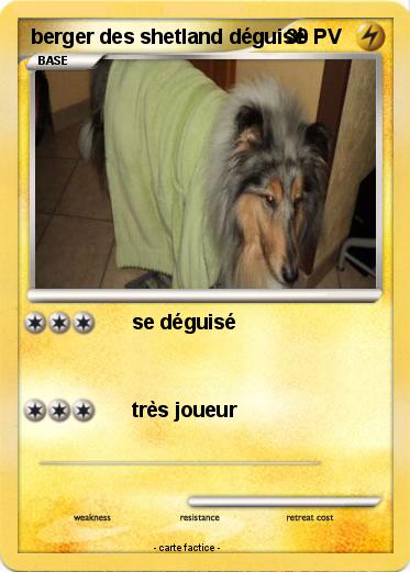 Pokemon berger des shetland déguisé