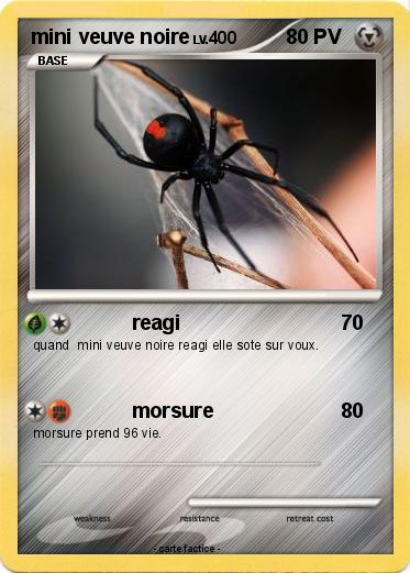 Pokemon mini veuve noire