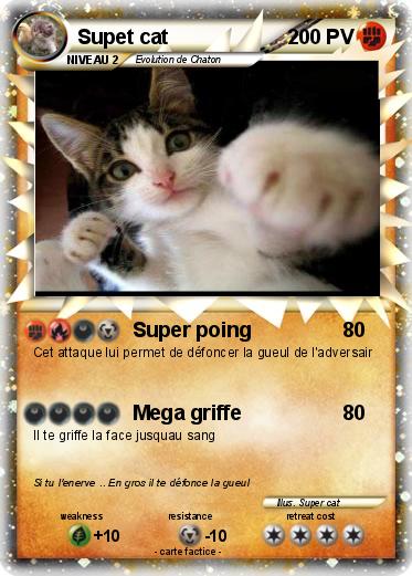Pokemon Supet cat