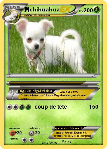 Pokemon chihuahua