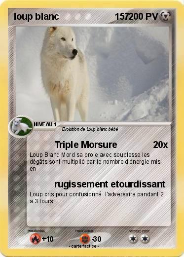 Pokemon loup blanc                      157