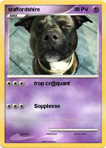 Pokemon staffordshire