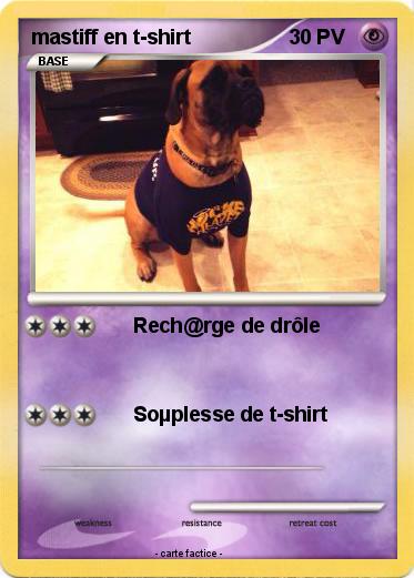 Pokemon mastiff en t-shirt
