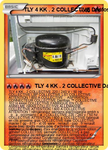 Pokemon TLY 4 KK . 2 COLLECTIVE Danfoss ™