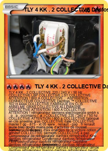Pokemon TLY 4 KK . 2 COLLECTIVE Danfoss ™