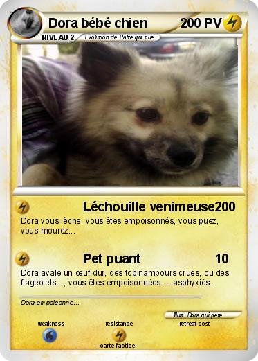 Pokemon Dora bébé chien