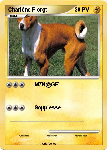 Pokemon Charlène Fiorgt