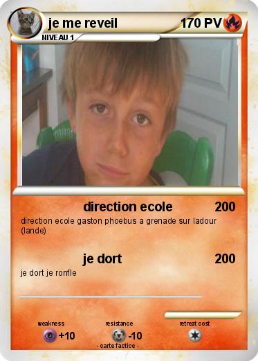 Pokemon je me reveil