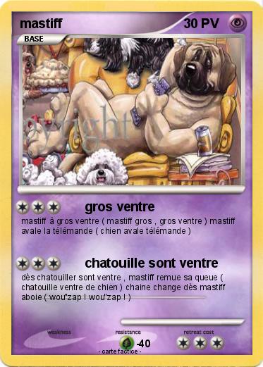 Pokemon mastiff