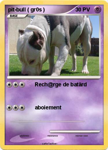 Pokemon pit-bull ( gr0s )