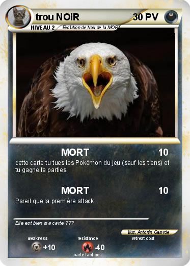 Pokemon trou NOIR
