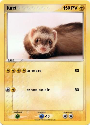 Pokemon furet