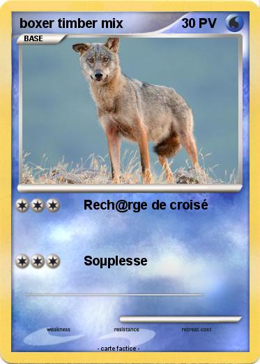 Pokemon boxer timber mix